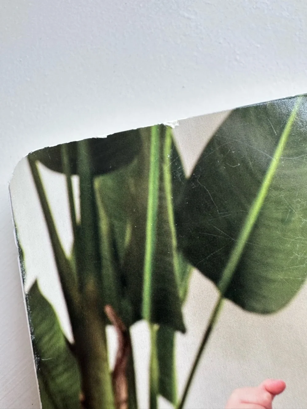 Lovevery | How Can I Help? Board Book - Picture 6 of 8